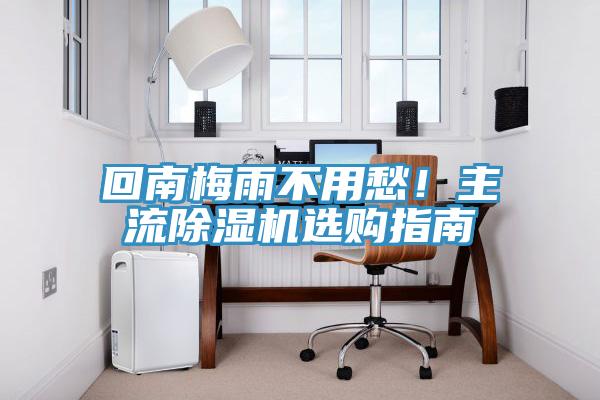 回南梅雨不用愁！主流91看片网站選購指南