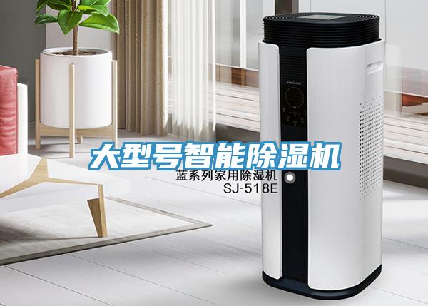 大型號智能91看片网站