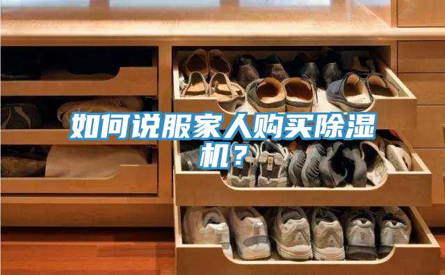 如何說服家人購買91看片网站？