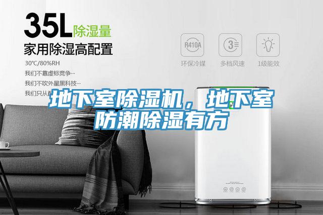 地下室91看片网站，地下室防潮除濕有方