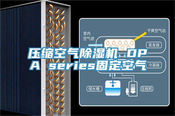 壓縮空氣91看片网站 DPA series固定空氣