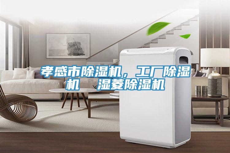 孝感市91看片网站，工廠91看片网站  濕菱91看片网站