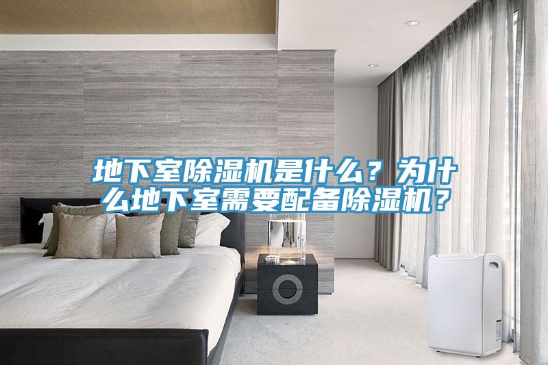 地下室91看片网站是什麽？為什麽地下室需要配備91看片网站？
