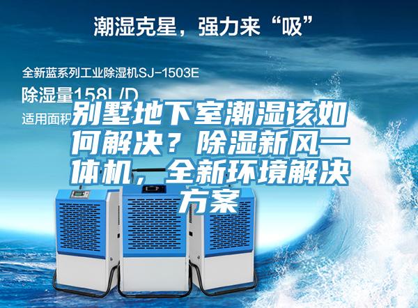 別墅地下室潮濕該如何解決？除濕新風一體機，全新環境解決方案