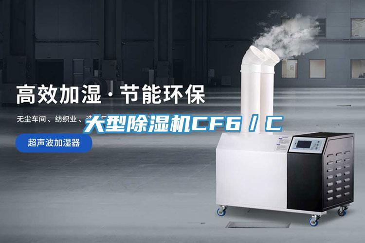 大型91看片网站CF6／C