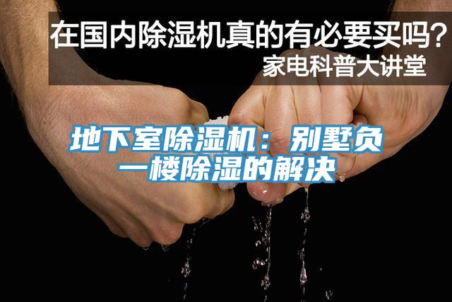 地下室91看片网站：別墅負一樓除濕的解決