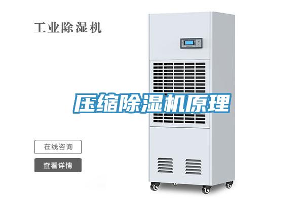 壓縮91看片网站原理