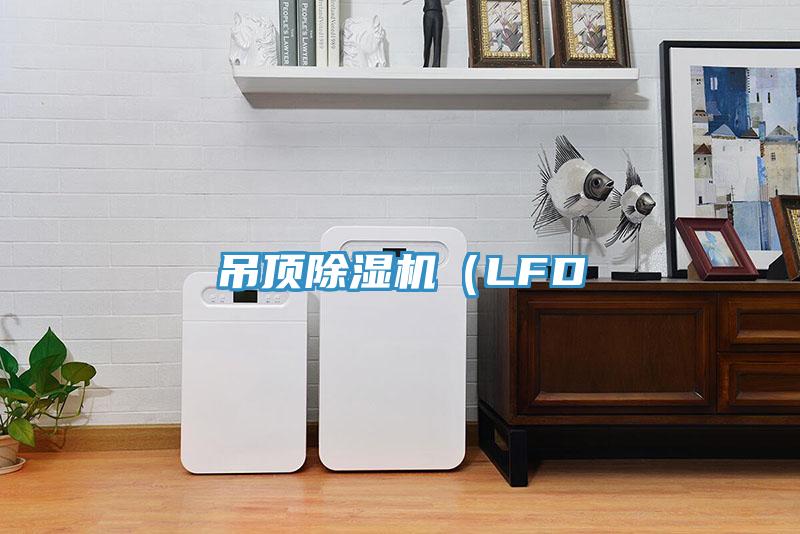 吊頂91看片网站（LFD