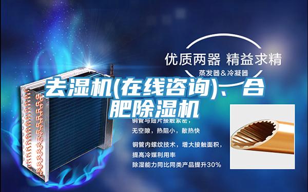 去濕機(在線谘詢)、合肥91看片网站