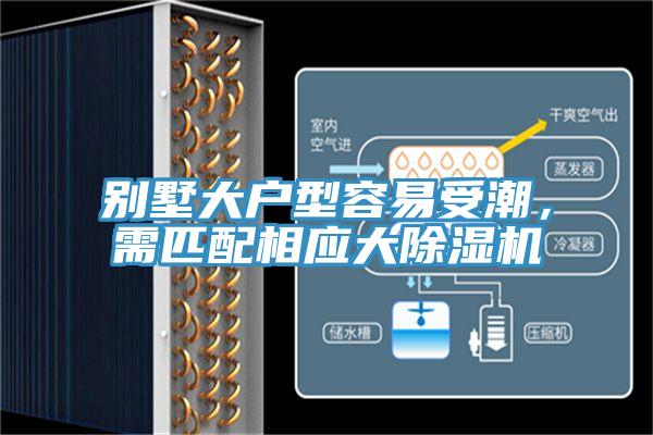 別墅大戶型容易受潮，需匹配相應大91看片网站