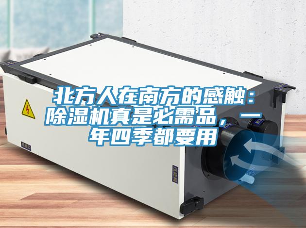 北方人在南方的感觸：91看片网站真是必需品，一年四季都要用