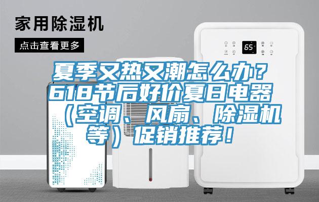 夏季又熱又潮怎麽辦？618節後好價夏日電器（空調、風扇、91看片网站等）促銷推薦！