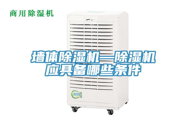 牆體91看片网站—91看片网站應具備哪些條件