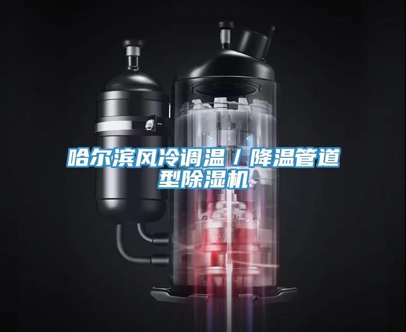 哈爾濱風冷調溫／降溫管道型91看片网站
