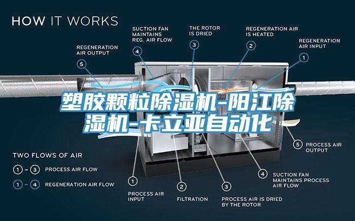 塑膠顆粒91看片网站-陽江91看片网站-卡立亞自動化