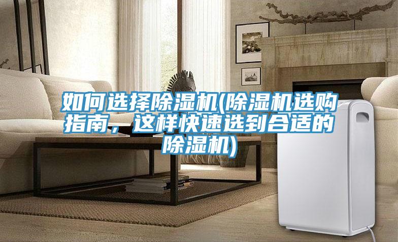如何選擇91看片网站(91看片网站選購指南，這樣快速選到合適的91看片网站)