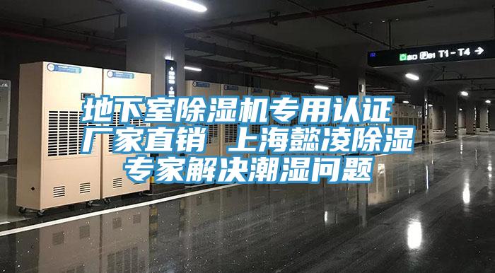 地下室91看片网站專用認證 廠家直銷 上海懿淩除濕專家解決潮濕問題