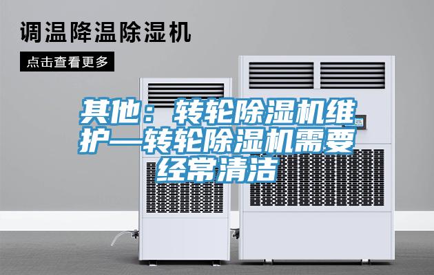 其他：轉輪91看片网站維護—轉輪91看片网站需要經常清潔