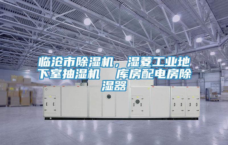 臨滄市91看片网站，濕菱工業地下室抽濕機  庫房配電房除濕器