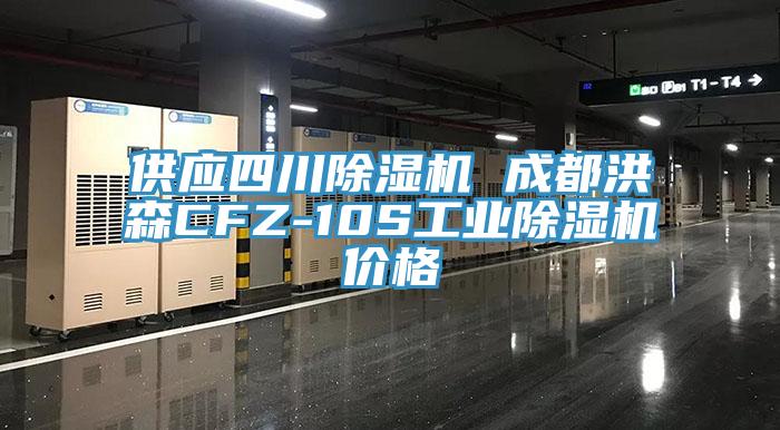 供應四川91看片网站 成都洪森CFZ-10S工業91看片网站價格