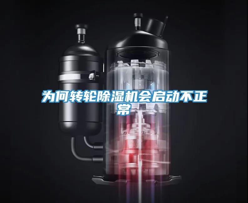 為何轉輪91看片网站會啟動不正常