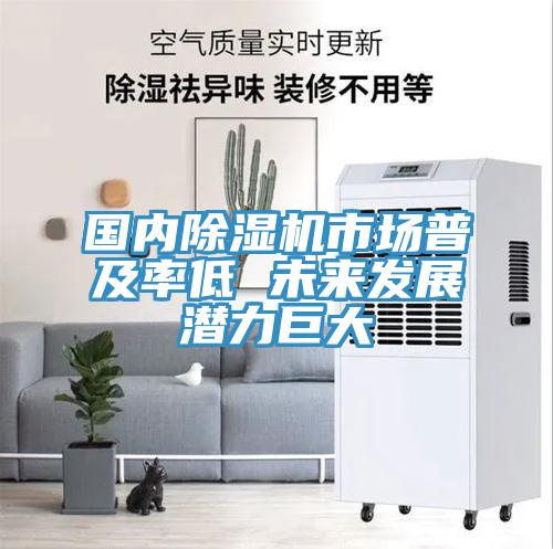 國內91看片网站市場普及率低 未來發展潛力巨大