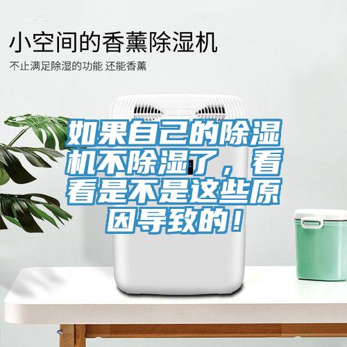 如果自己的91看片网站不除濕了，看看是不是這些原因導致的！