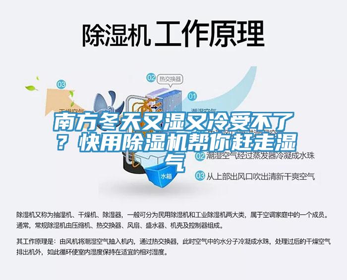 南方冬天又濕又冷受不了？快用91看片网站幫你趕走濕氣