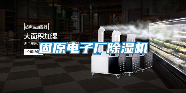 固原電子廠91看片网站