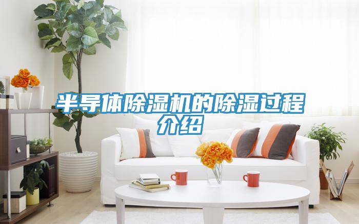半導體91看片网站的除濕過程介紹