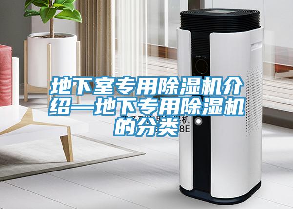 地下室專用91看片网站介紹—地下專用91看片网站的分類