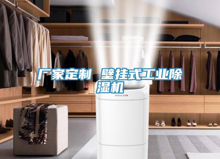 廠家定製 壁掛式工業91看片网站