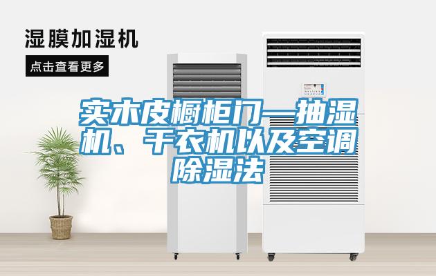 實木皮櫥櫃門—抽濕機、幹衣機以及空調除濕法