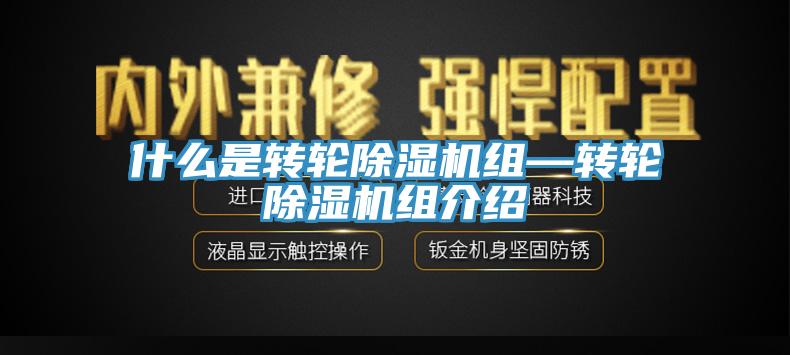 什麽是轉輪91看片网站組—轉輪91看片网站組介紹