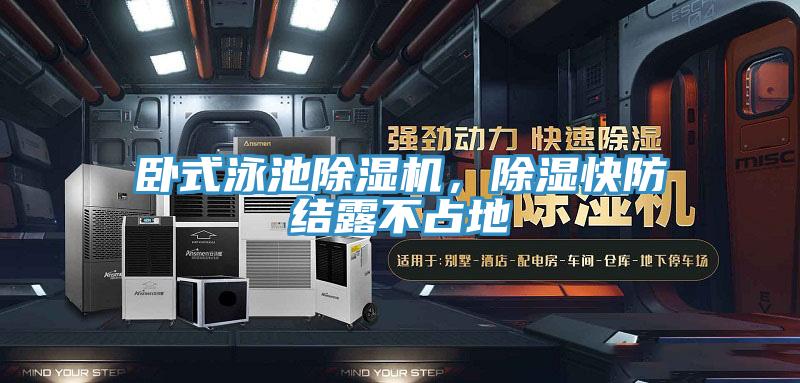 臥式泳池91看片网站，除濕快防結露不占地