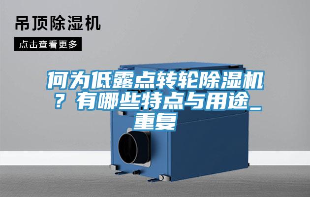 何為低露點轉輪91看片网站？有哪些特點與用途_重複