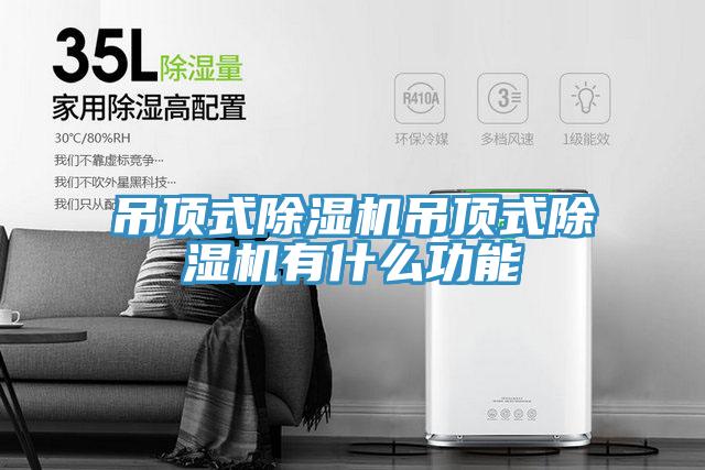 吊頂式91看片网站吊頂式91看片网站有什麽功能