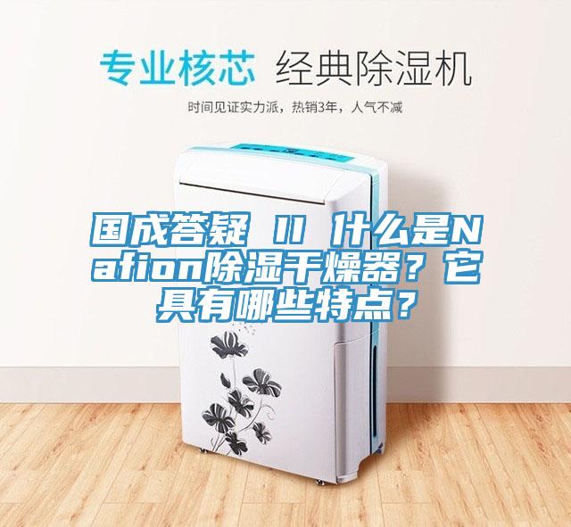 國成答疑 II 什麽是Nafion除濕幹燥器？它具有哪些特點？