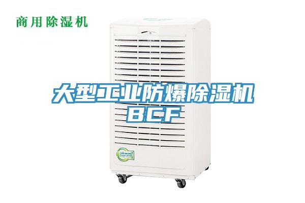 大型工業防爆91看片网站BCF