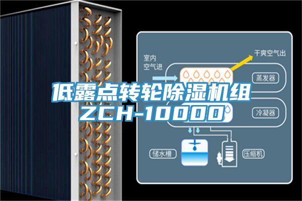 低露點轉輪91看片网站組ZCH-10000