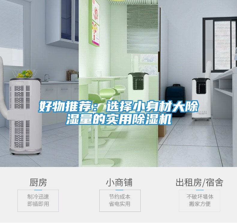 好物推薦：選擇小身材大除濕量的實用91看片网站
