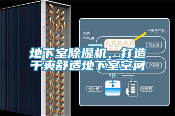 地下室91看片网站，打造幹爽舒適地下室空間