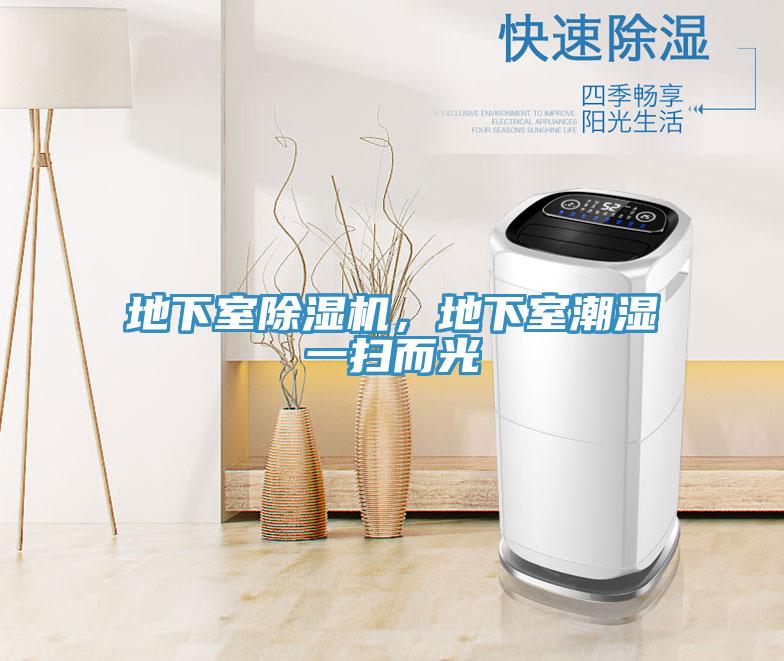 地下室91看片网站，地下室潮濕一掃而光
