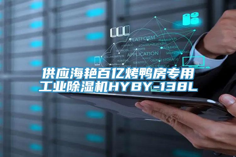 供應海豔百億烤鴨房專用工業91看片网站HYBY-138L