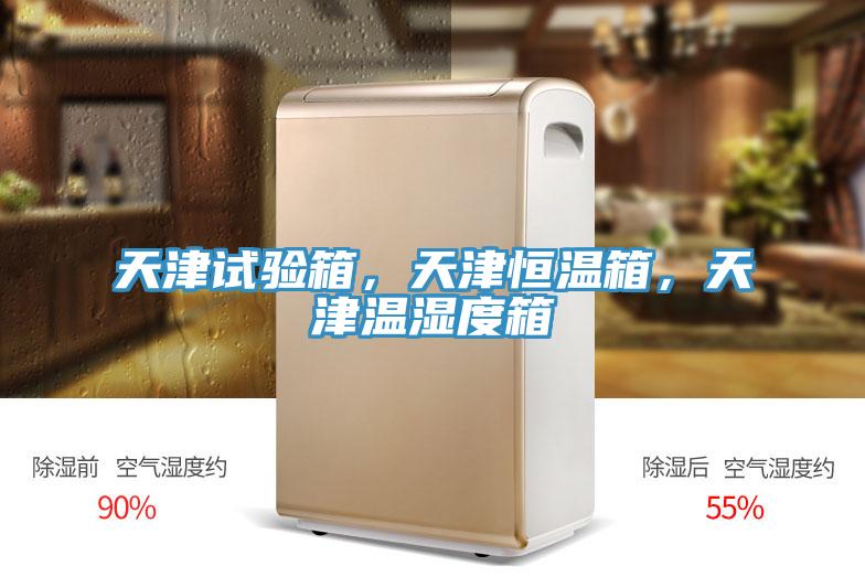 天津試驗箱，天津恒溫箱，天津溫濕度箱