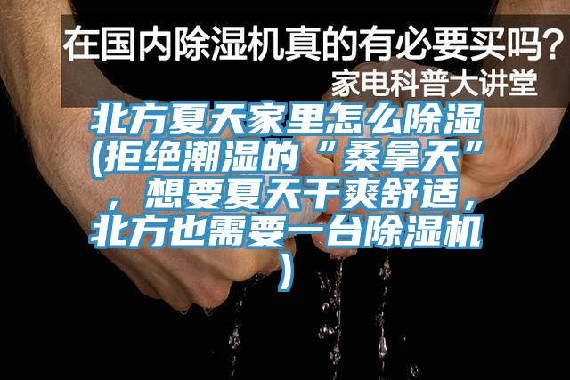 北方夏天家裏怎麽除濕(拒絕潮濕的“桑拿天”，想要夏天幹爽舒適，北方也需要一台91看片网站)