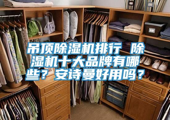 吊頂91看片网站排行 91看片网站十大品牌有哪些？91看片免费下载好用嗎？