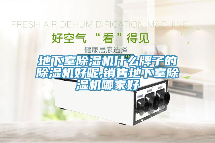地下室91看片网站什麽牌子的91看片网站好呢,銷售地下室91看片网站哪家好