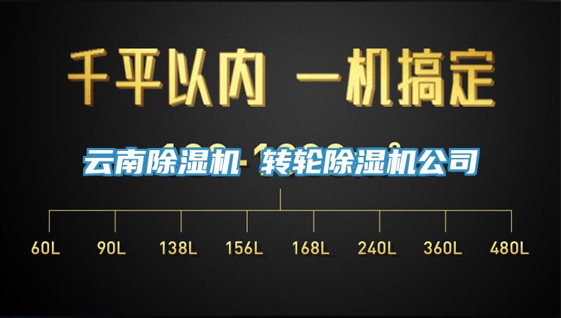 雲南91看片网站 轉輪91看片网站公司