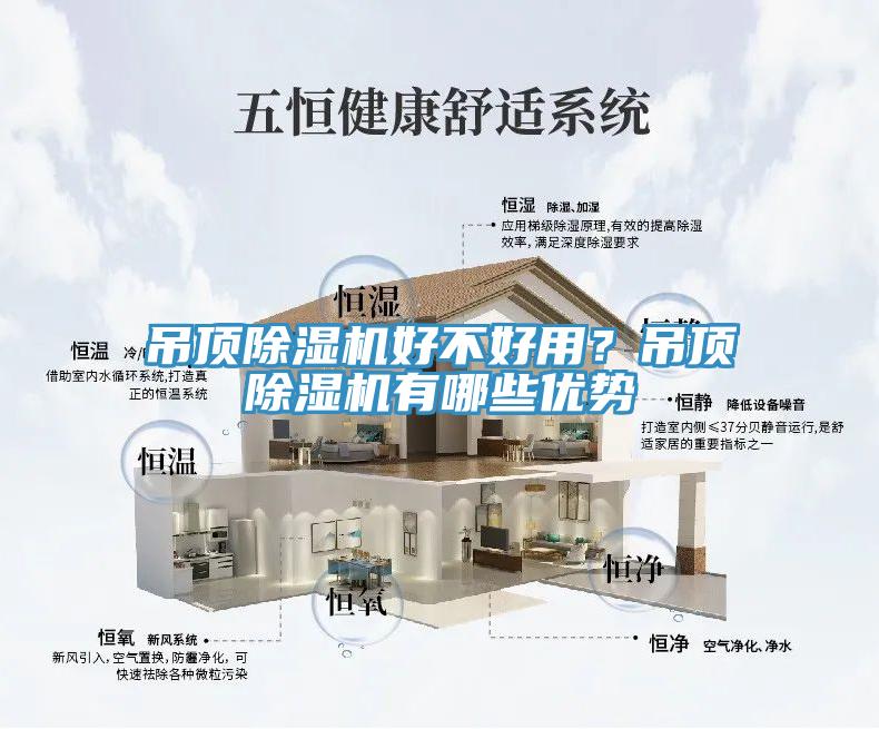 吊頂91看片网站好不好用？吊頂91看片网站有哪些優勢